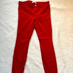 Loft pant leggings